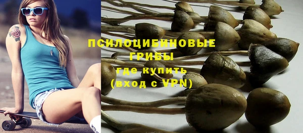 метадон Арсеньев