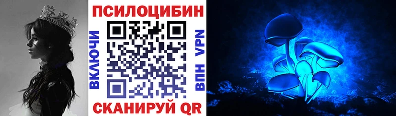 площадка Telegram  Белорецк  Псилоцибиновые грибы GOLDEN TEACHER 